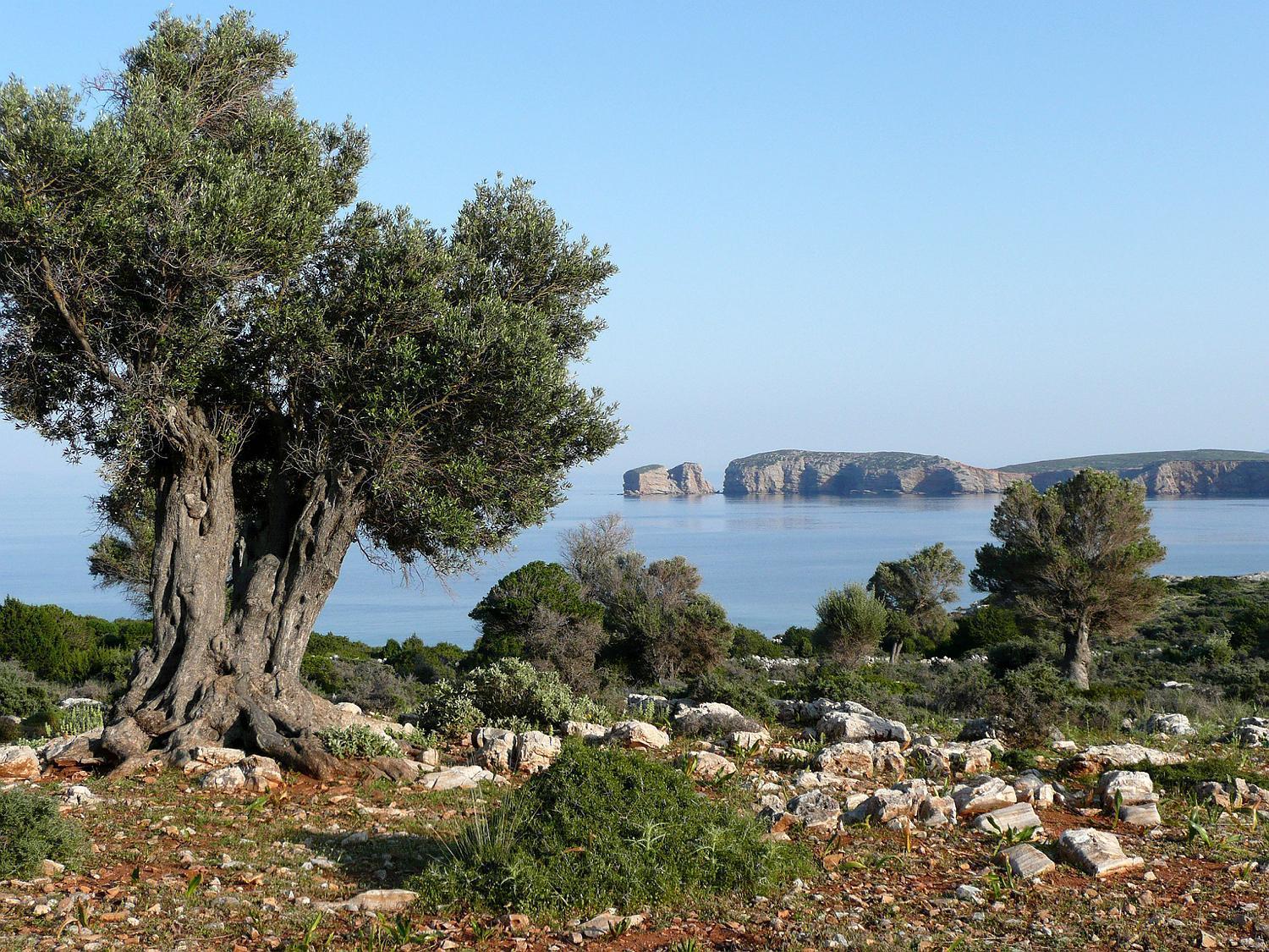 Traditional Stone-built Azalas Moutsoúna