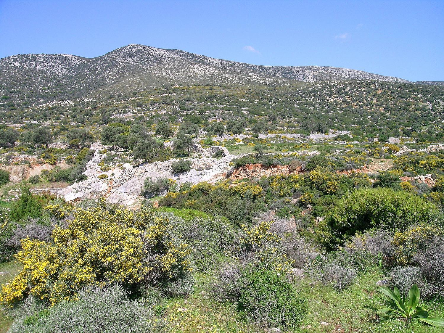 Traditional Stone-built Azalas Appartement Moutsoúna